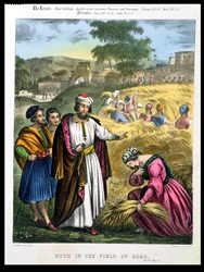 Ruth im Feld von Boaz, aus einer Bibel gedruckt von Edward Gover, 1870er Jahre