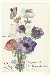 Neujahrsgruß mit Anemonen