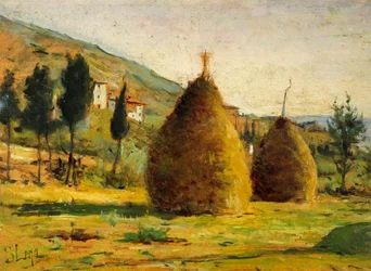 Heuhaufen in der Sonne