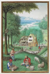 Kalenderminiatur für Juni, die zwei Männer beim Schafscheren zeigt, mit einem Häuschen im Hintergrund