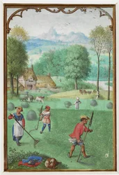 Juli: Ernte, Aussaat, aus einem Stundenbuch, ca. 1540