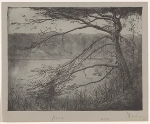 Teich bei Oisterwijk