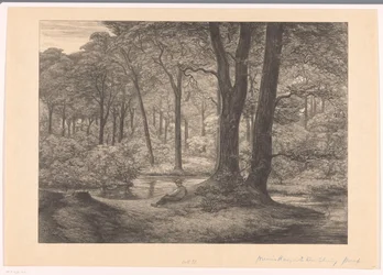 Ansicht der Hunnenschans auf der Veluwe