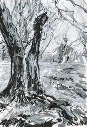 Alter Baum, Richmond Park