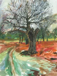 Alter Baum, Richmond Park, 2019