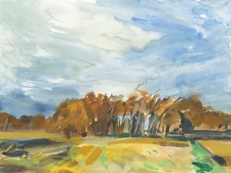 Richmond Park, 2018