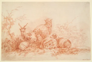 Schaf und Ziege ruhen