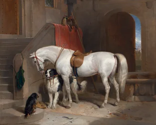 Lieblinge, Eigentum von H.R.H. Prinz George von Cambridge