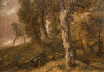 Studie von Bäumen