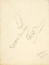 Pferd