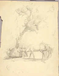Pferde und Baum