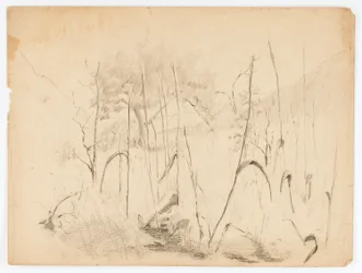 Landschaft