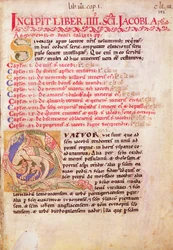 Historisierte Initiale 