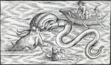 Seemonster, 1511