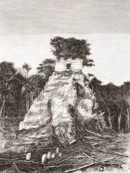 Tikal, Guatemala, Zentralamerika: Der Tempel des Jaguars