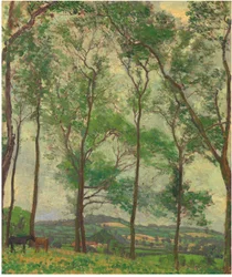 Landschaft bei Applehayes, Somerset, ca. 1910