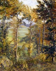 Waldlandschaft bei Tibermont, Neuville Les Dieppes