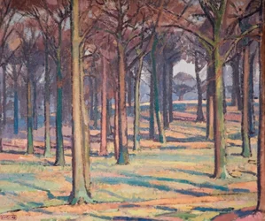 Wald im Richmond Park, 1914
