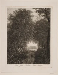 Waldweg