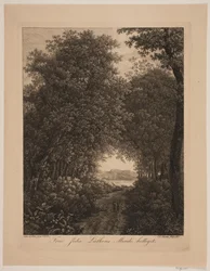 Waldweg