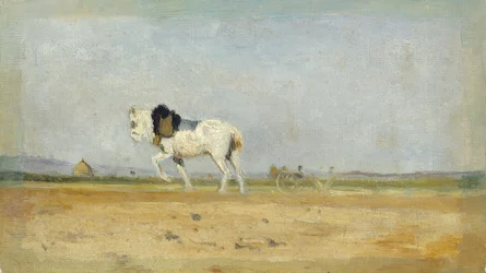 Ein Pflugpferd auf einem Feld