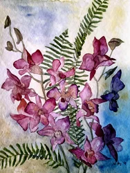 Orchidee