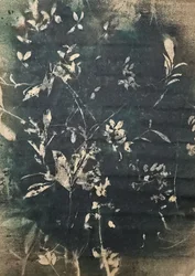Botanische Silhouetten im Vintage-Stil
