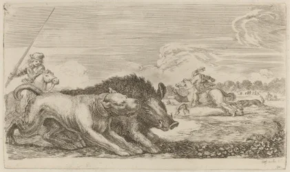 Von einem Hund gejagtes Wildschwein