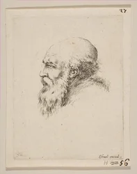 Kopf eines kahlen und bärtigen alten Mannes im Profil, aus Verschiedene Köpfe und Figuren Diverses..., 1650