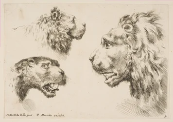 Köpfe von drei Löwen, ca. 1641