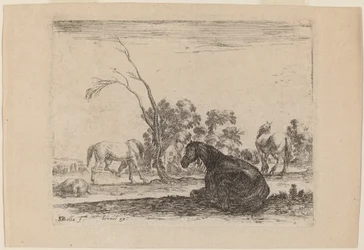 Pferde auf einer Weide