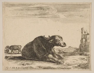 Platte 13: Büffel, der liegt, aus Verschiedene Tiere Diversi animali, ca. 1641