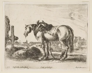 Tafel 22: Kaltblutpferd, aus Verschiedene Tiere Diversi animali, ca. 1641