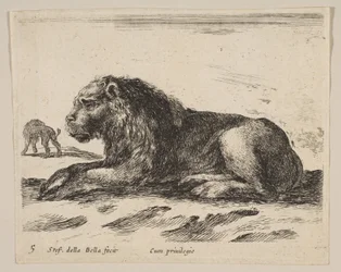 Tafel 5: liegender Löwe, aus Verschiedene Tiere Diversi animali, ca. 1641