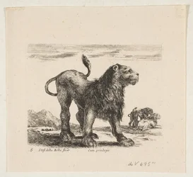 Tafel 6: Löwe, aus 