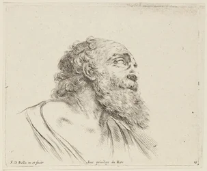 Studie (I principii del disegno, 19)