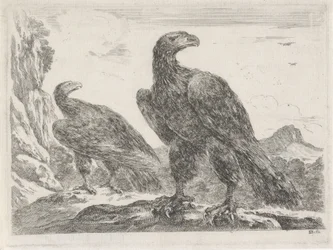 Zwei Adler mit Köpfen nach rechts
