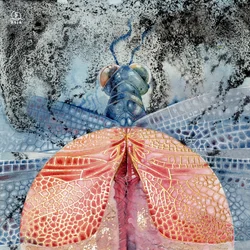 Libelle 1