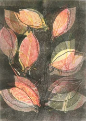 Mitternachtsgarten V, 2015