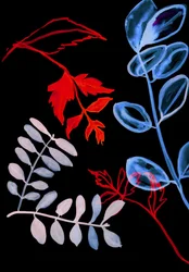 Nachtflora IV