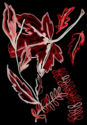 Nachtflora I, 2018