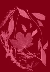 Rotes Laub