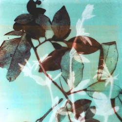 Saison III, 2018