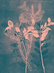 Saison VI, 2018