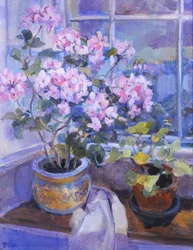 Rosa Geranie auf dem Fenstersitz, 1996