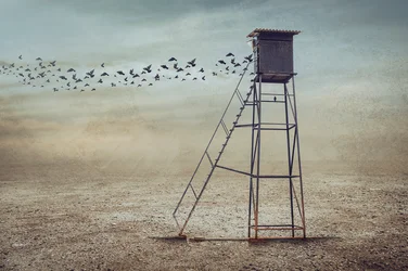 Vögel über einsamem Wachturm