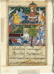 Seite aus Geschichten eines Papageis Tuti-nama: Achte Nacht: Der junge Prinz wird gekrönt..., 1558-1560