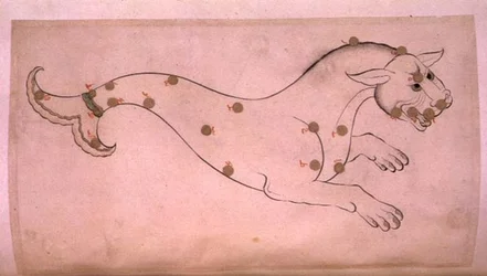 Sternbilder: Cetus, der Wal