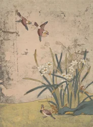 Vögel und Narzissen