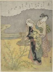 Der Buschklee (Hagi)